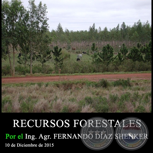 RECURSOS FORESTALES - Ing. Agr. FERNANDO DÍAZ SHENKER - 10 de Diciembre de 2015